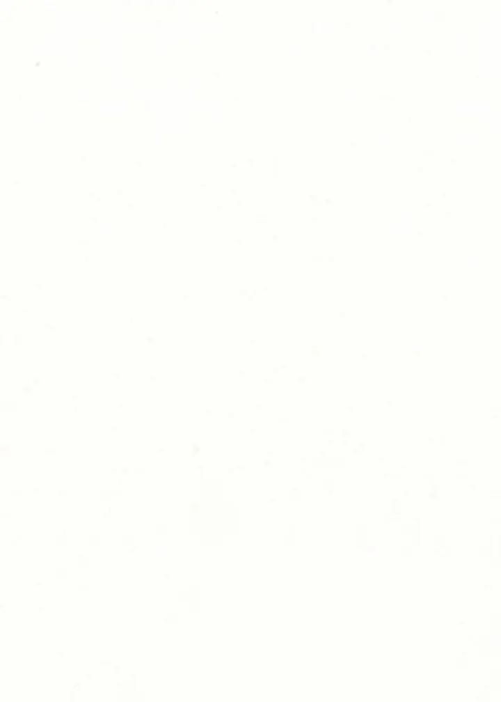 White Matte - Welcome to Riken U.S.A.